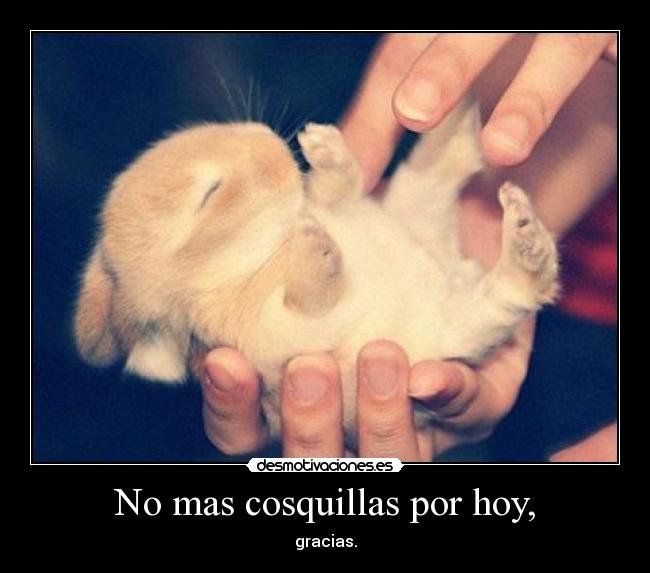 carteles conejo cosquillas son una monosidad gusta senor ardillo con pelo largo desmotivaciones