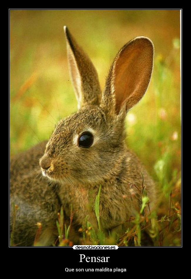 Pensar -