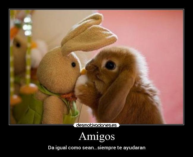 Amigos - 