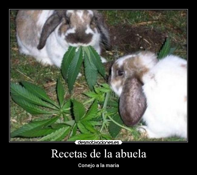 Recetas de la abuela - Conejo a la maria