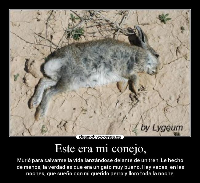 Este era mi conejo, - 