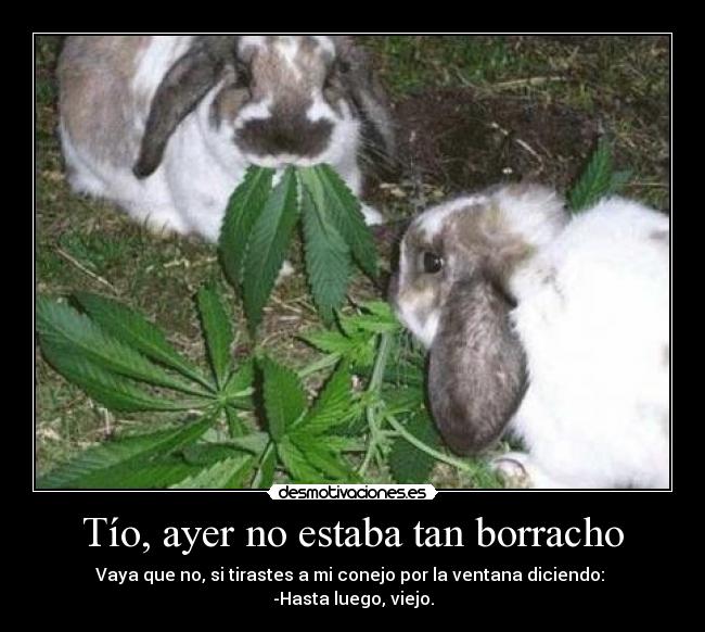 carteles bugs bunny desmotivaciones