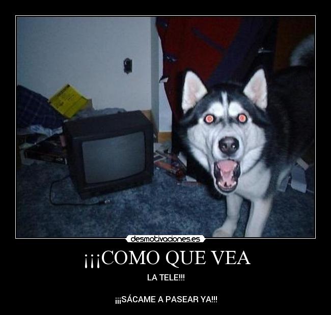 ¡¡¡COMO QUE VEA - 
