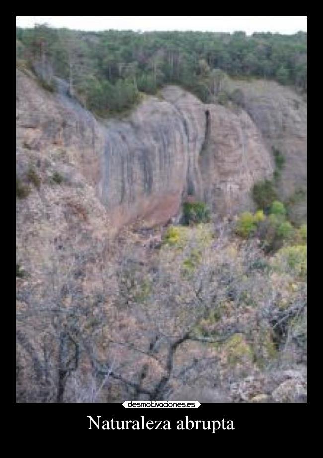 Naturaleza abrupta -