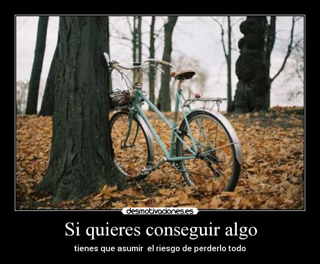 carteles quieres conseguir algo tienes que asumir riesgo perderlo todo desmotivaciones