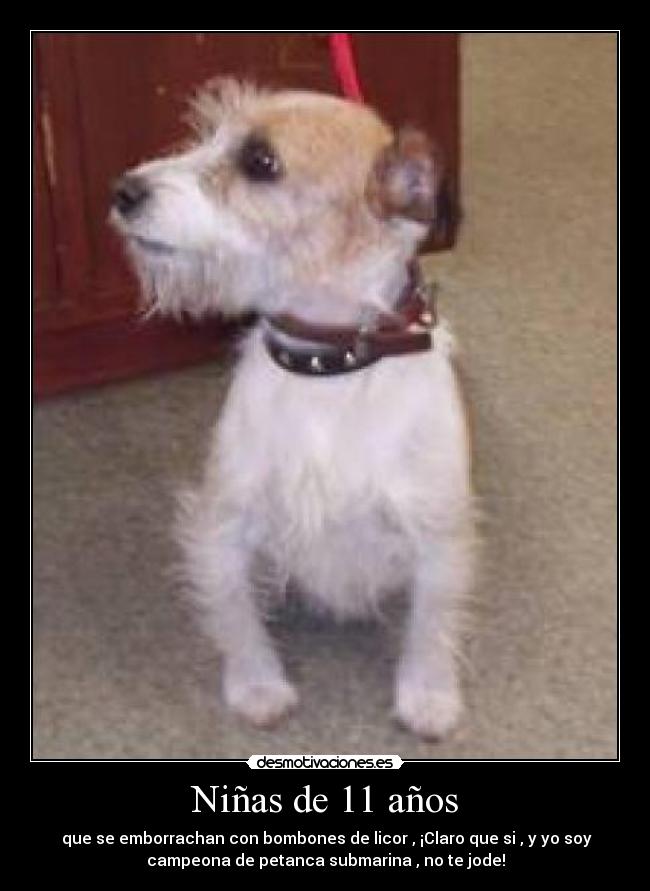 Niñas de 11 años -  que se emborrachan con bombones de licor , ¡Claro que si , y yo soy
campeona de petanca submarina , no te jode!