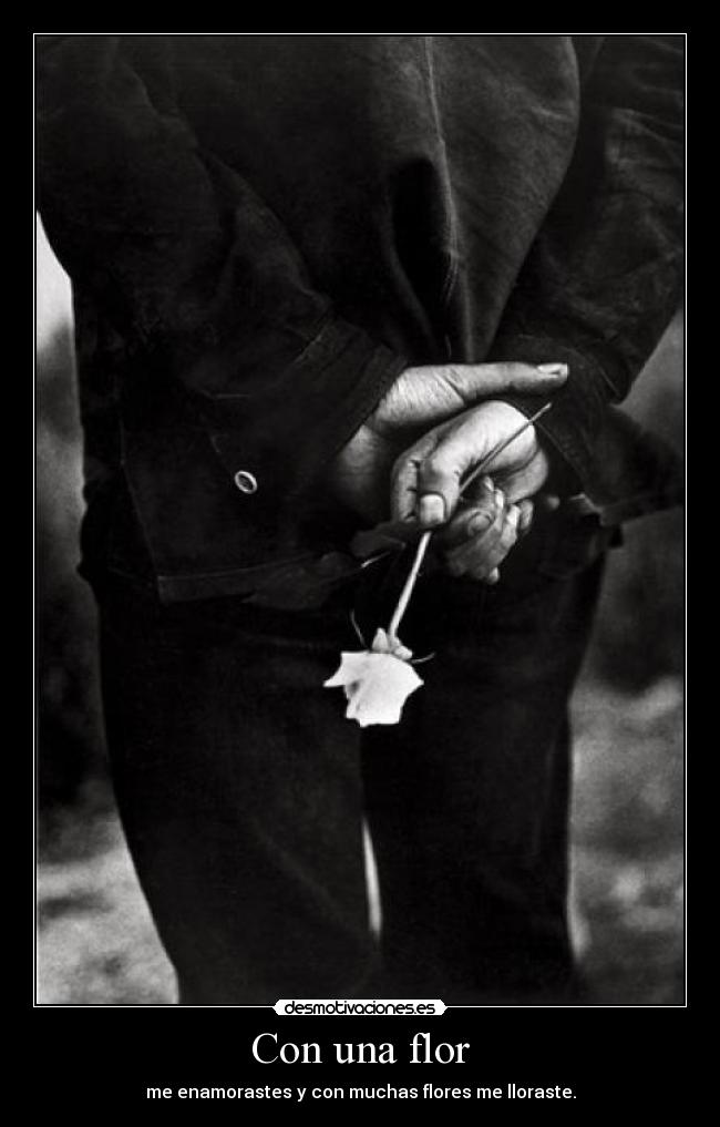 Con una flor - me enamorastes y con muchas flores me lloraste.