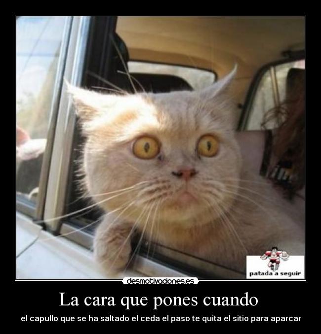 La cara que pones cuando - el capullo que se ha saltado el ceda el paso te quita el sitio para aparcar