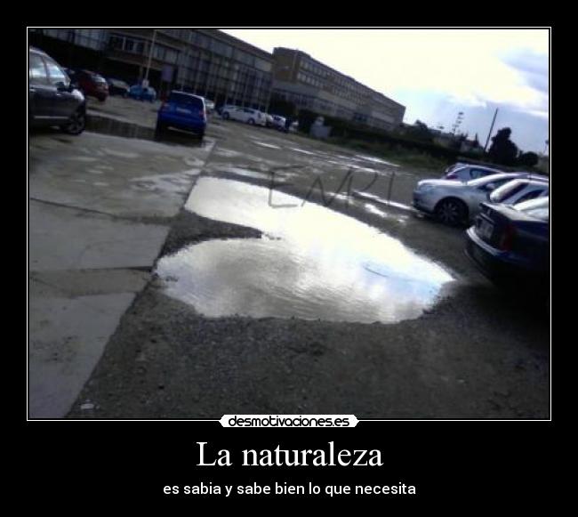 La naturaleza - es sabia y sabe bien lo que necesita