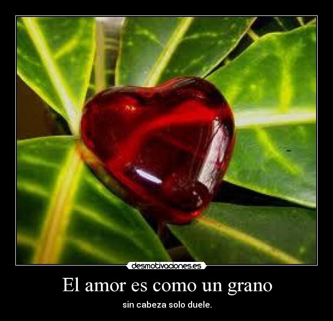 El amor es como un grano - sin cabeza solo duele.