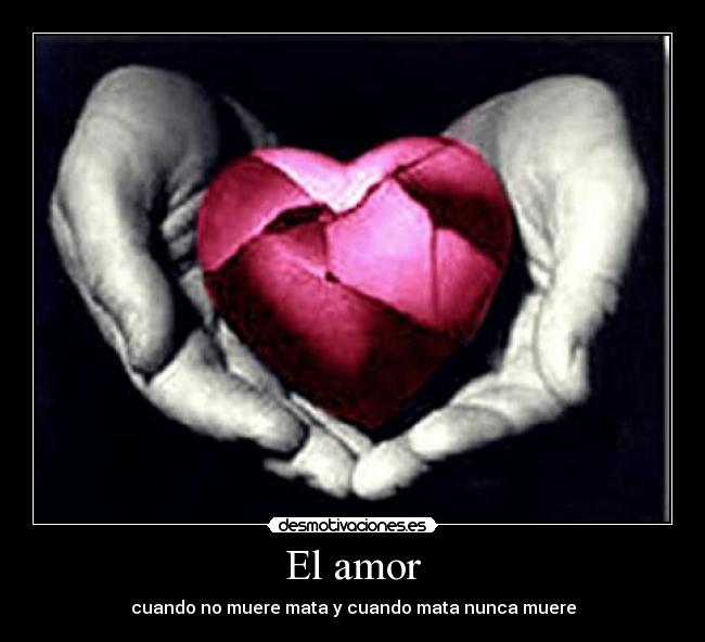 El amor - 