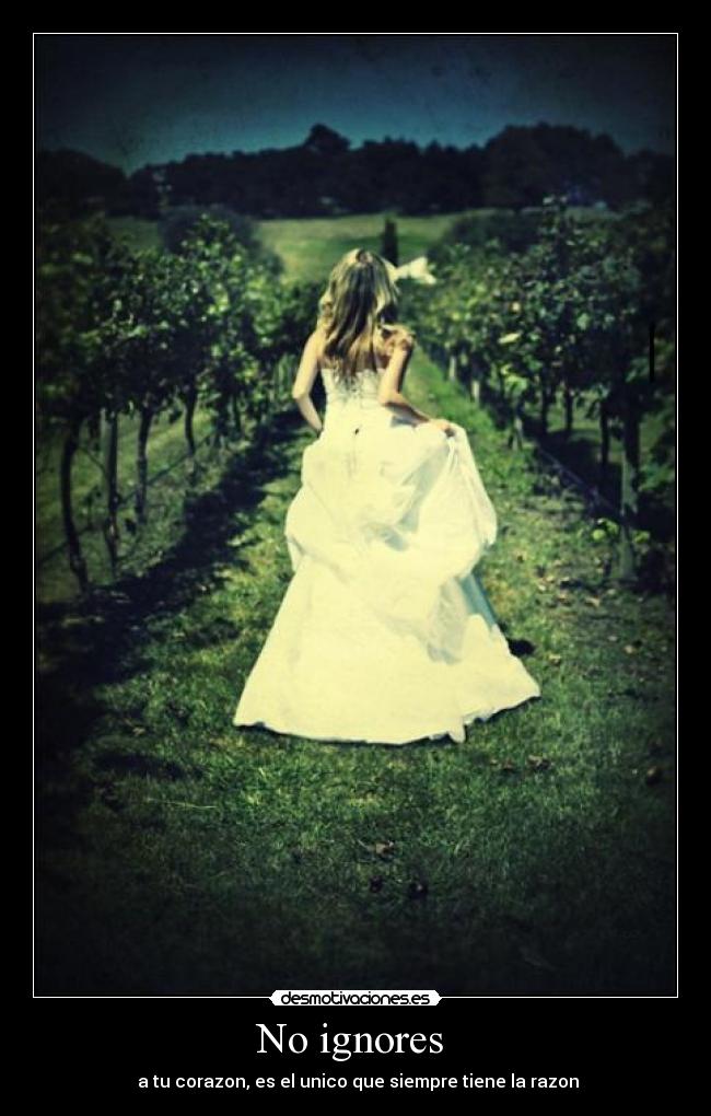 No ignores  -  a tu corazon, es el unico que siempre tiene la razon