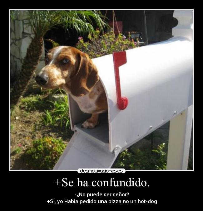 +Se ha confundido. - -¿No puede ser señor?
+Si, yo Habia pedido una pizza no un hot-dog