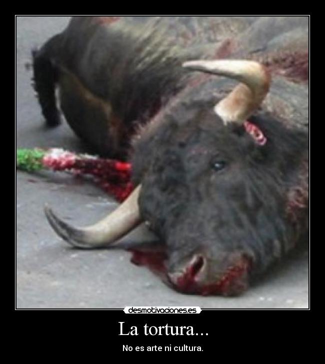 carteles asesinos desmotivaciones