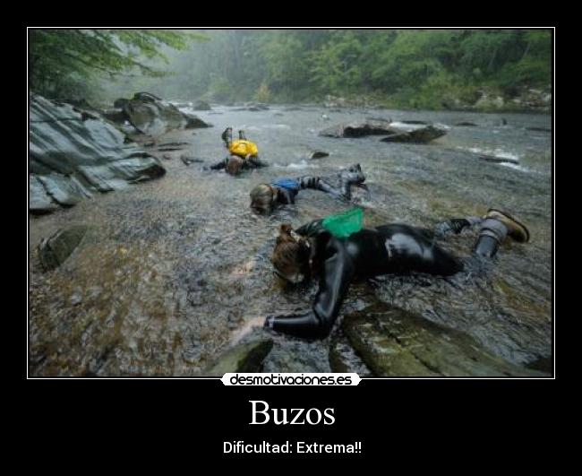 Buzos -