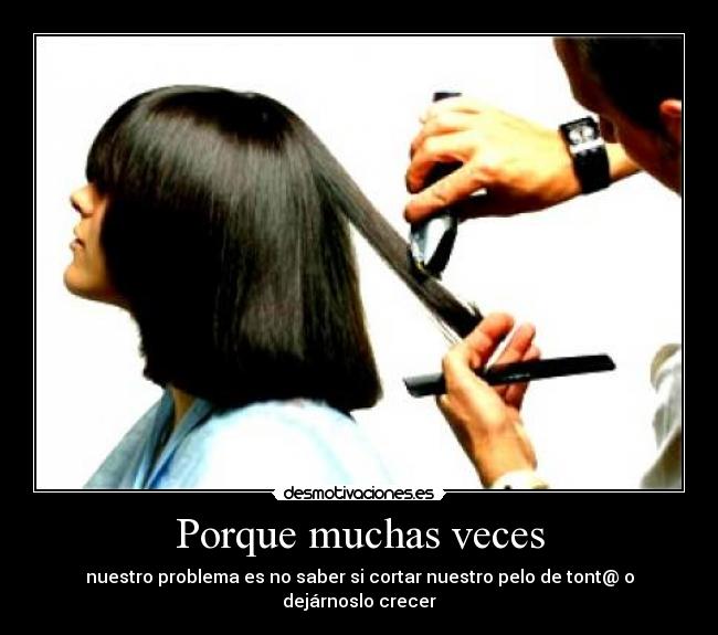 Porque muchas veces - nuestro problema es no saber si cortar nuestro pelo de tont@ o dejárnoslo crecer