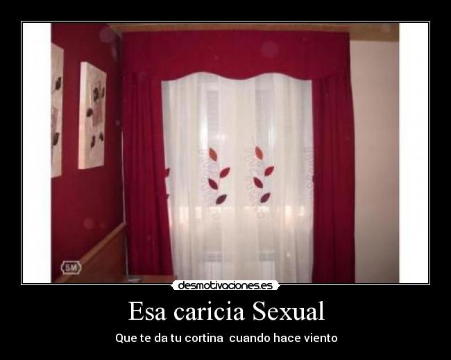 carteles sharik desmotivaciones