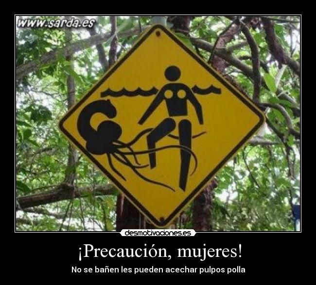 ¡Precaución, mujeres! - No se bañen les pueden acechar pulpos polla