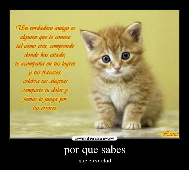 por que sabes - que es verdad