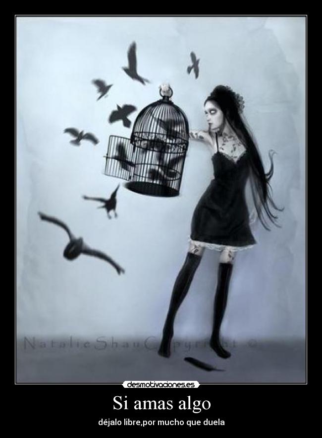 Si amas algo - 