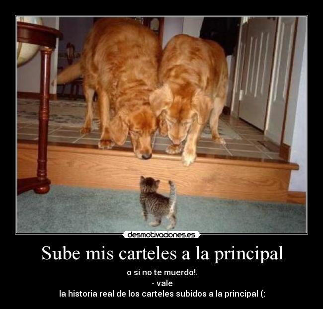 Sube mis carteles a la principal - 