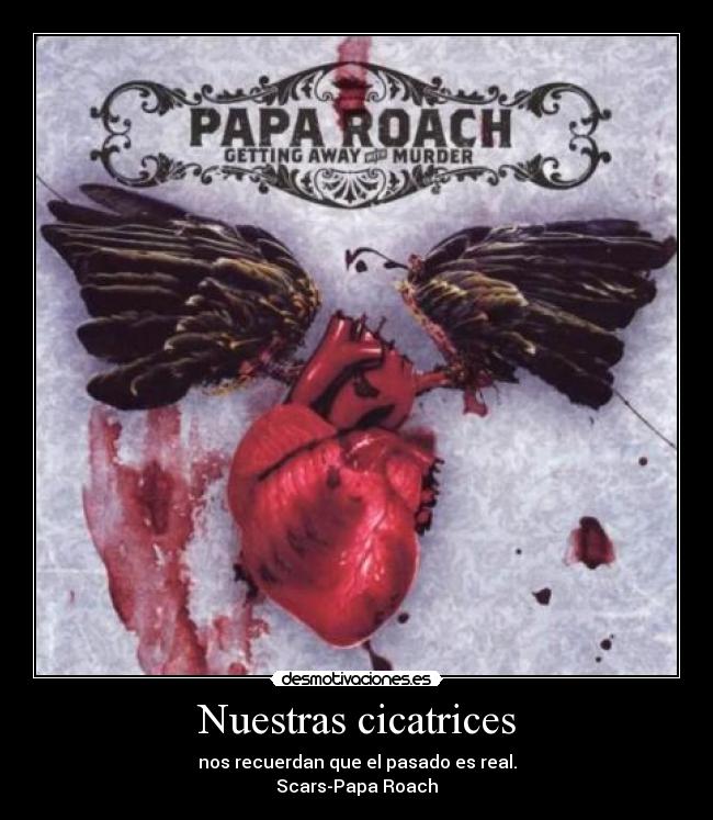 Nuestras cicatrices - nos recuerdan que el pasado es real.
Scars-Papa Roach