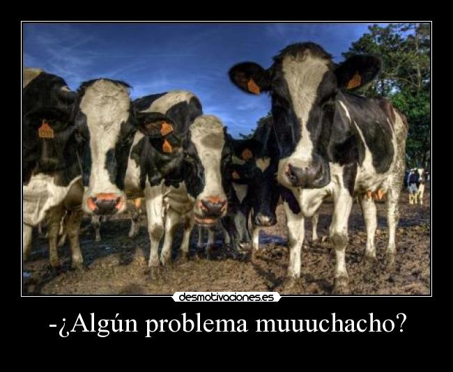 -¿Algún problema muuuchacho? -