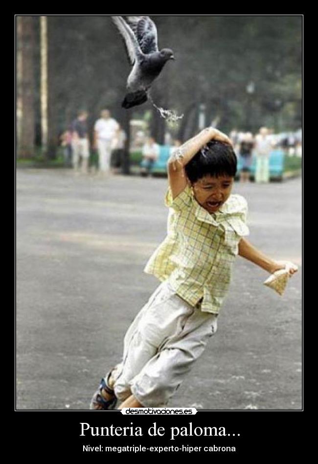 Punteria de paloma... - 