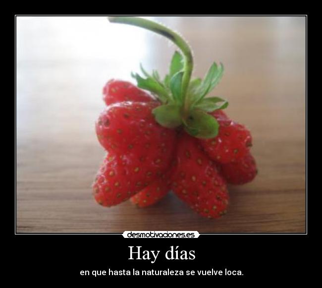 Hay días - en que hasta la naturaleza se vuelve loca.