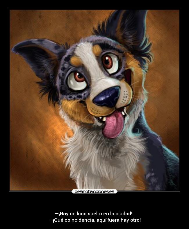 carteles locos locos everywhere desmotivaciones