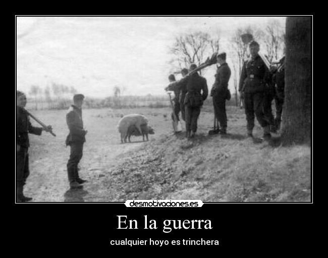 carteles guerra guerra cualquier hoyo trinchera los cerdos saben desmotivaciones