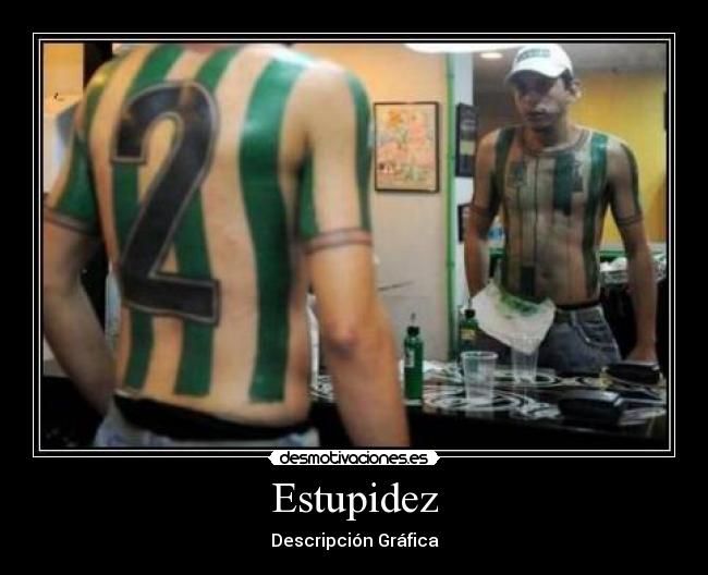 Estupidez - Descripción Gráfica