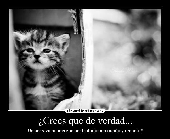 ¿Crees que de verdad... - 