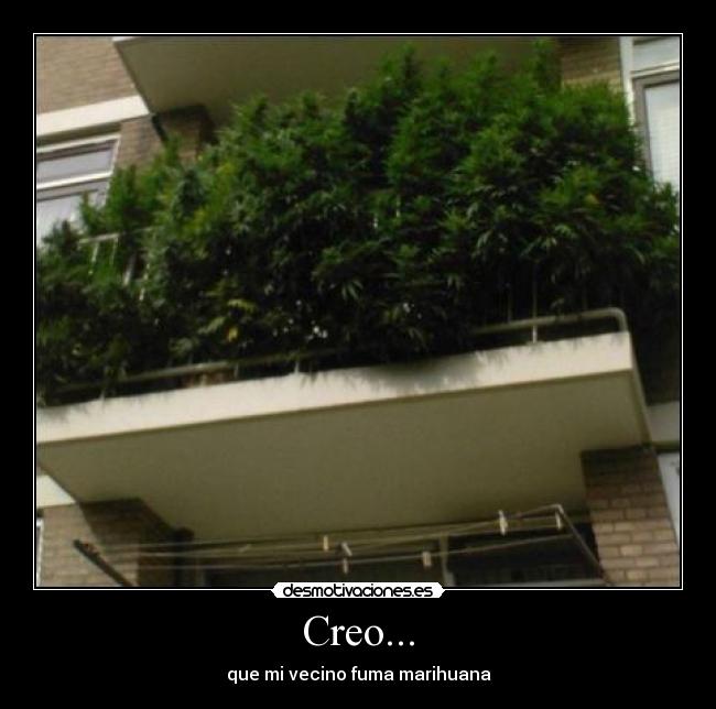 Creo... -