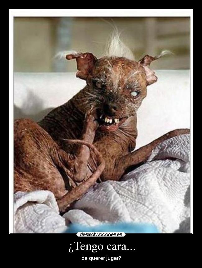 ¿Tengo cara... -