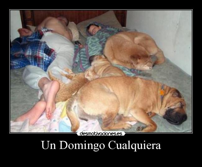 Un Domingo Cualquiera -