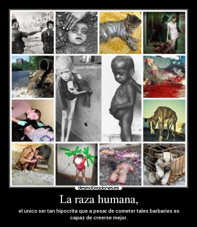 La raza humana, - el unico ser tan hipocrita que a pesar de cometer tales barbaries es
capaz de creerse mejor.