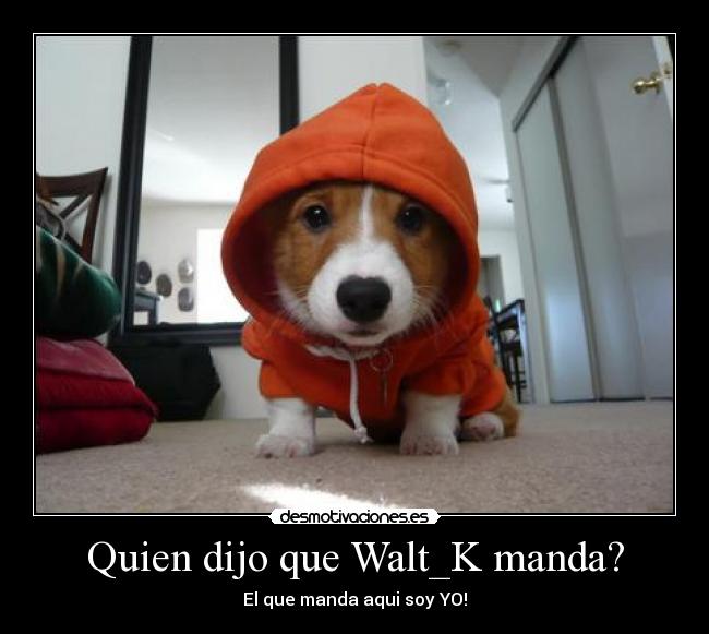 Quien dijo que Walt_K manda? -