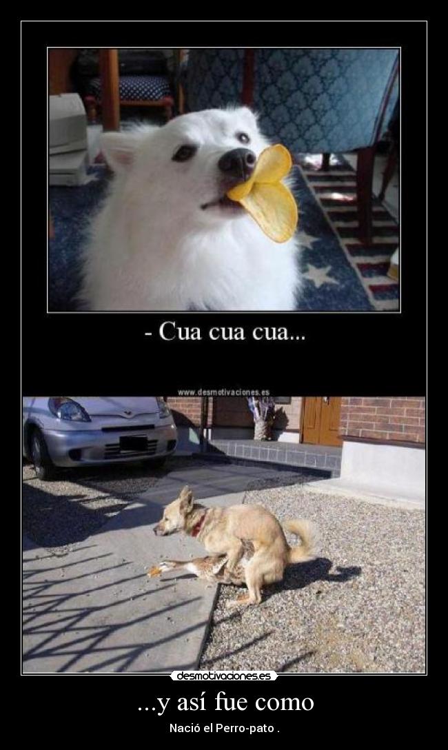 ...y así fue como -