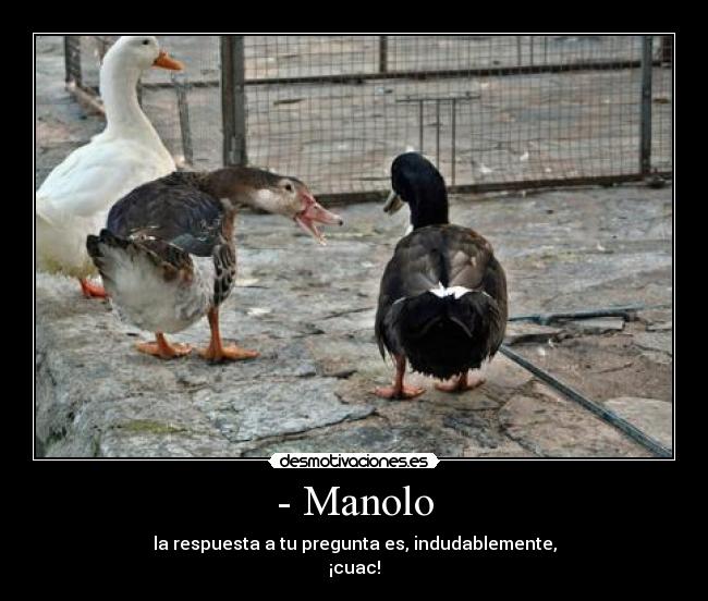 - Manolo -