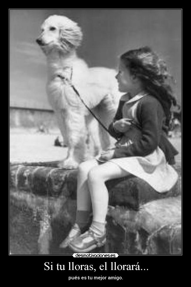 Si tu lloras, el llorará... -