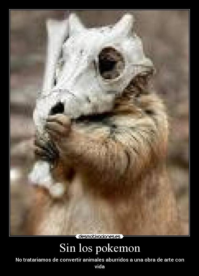 Sin los pokemon - 