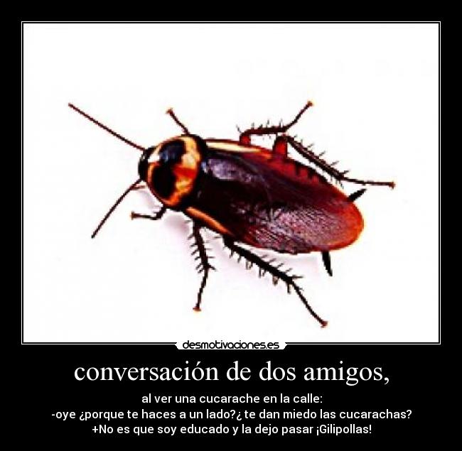 carteles amigos emiliasv16 desmotivaciones