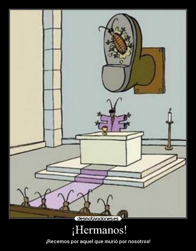 carteles cucarachas rezar religion desmotivaciones