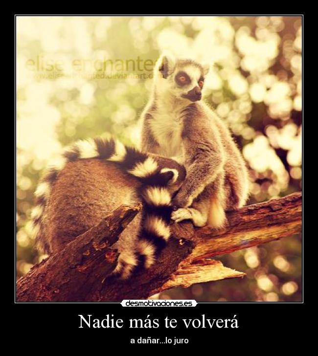 Nadie más te volverá - a dañar...lo juro