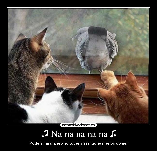 ♫ Na na na na na ♫ -