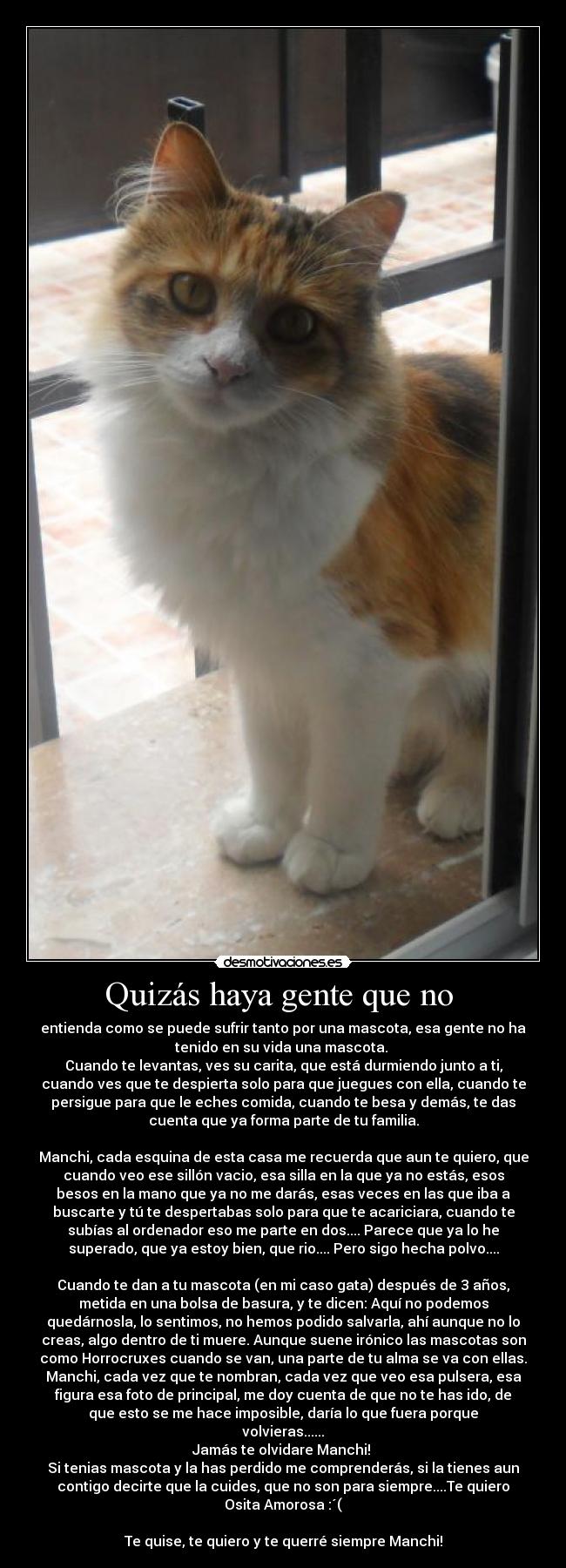 carteles manchi desmotivaciones