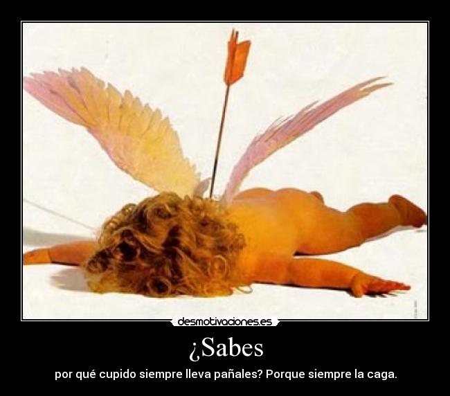 ¿Sabes - por qué cupido siempre lleva pañales? Porque siempre la caga.