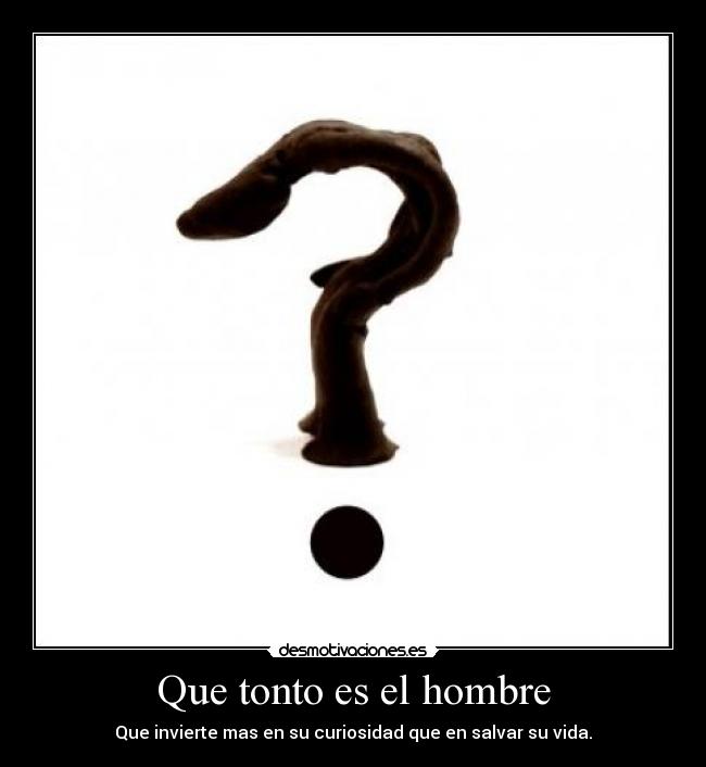 Que tonto es el hombre - Que invierte mas en su curiosidad que en salvar su vida.