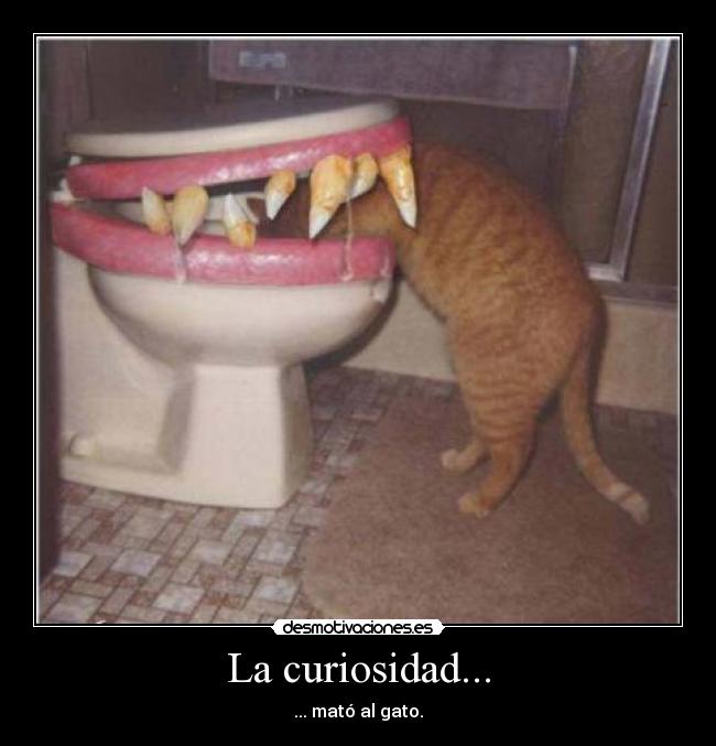 La curiosidad... - 